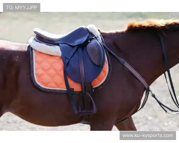 哥伦比亚马术协会引入智能马鞍系统，实现实时数据监测与分析，提升骑乘体验。